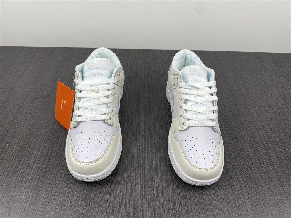 Nike Dunk Low Move To Zero DD1873-101